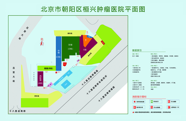 尻屄网北京市朝阳区桓兴肿瘤医院平面图